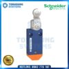 Switch Schneider XCMW116