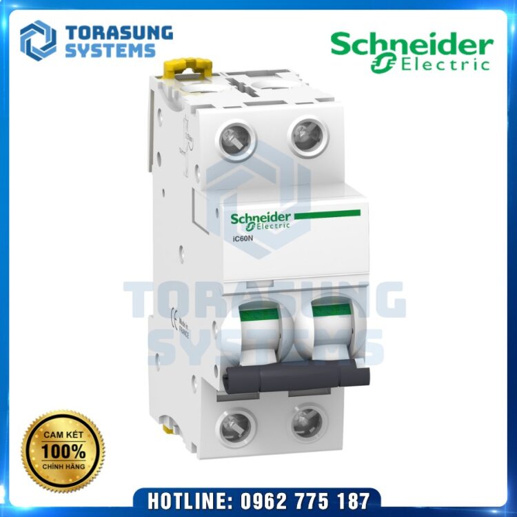 MCB Schneider A9F74216 - Torasung