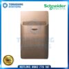 Switch Schneider A8431EKT_SZ