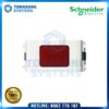 Signaling Devices Schneider 3031NRD_G19