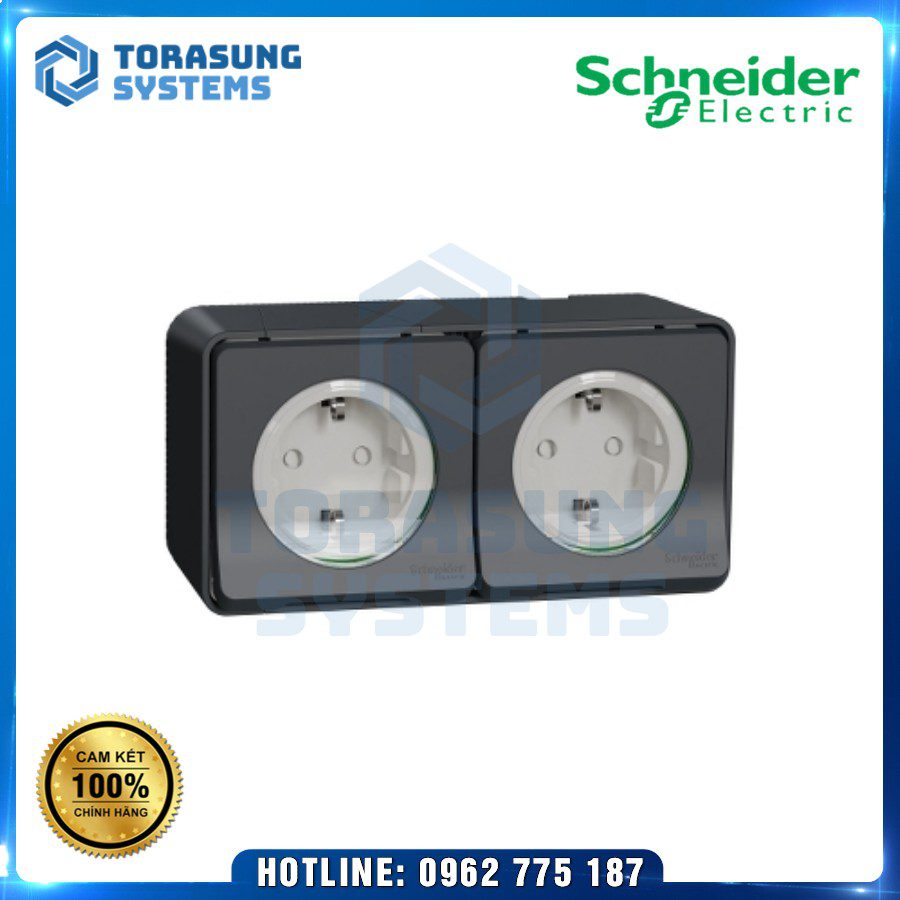 Schneider MUR36029 - Torasung