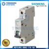 MCB Siemens 5SL6106-7CC