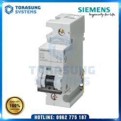 SM00207 (1)