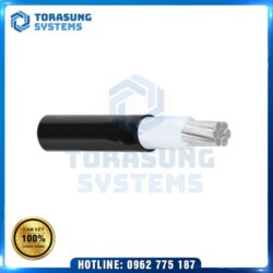 BT002094