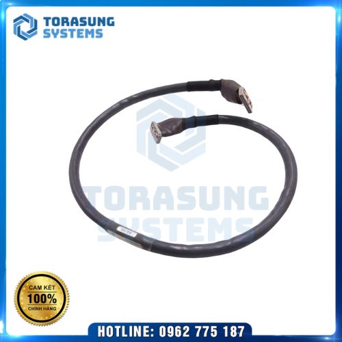 Cáp Allen Bradley 1746-C9