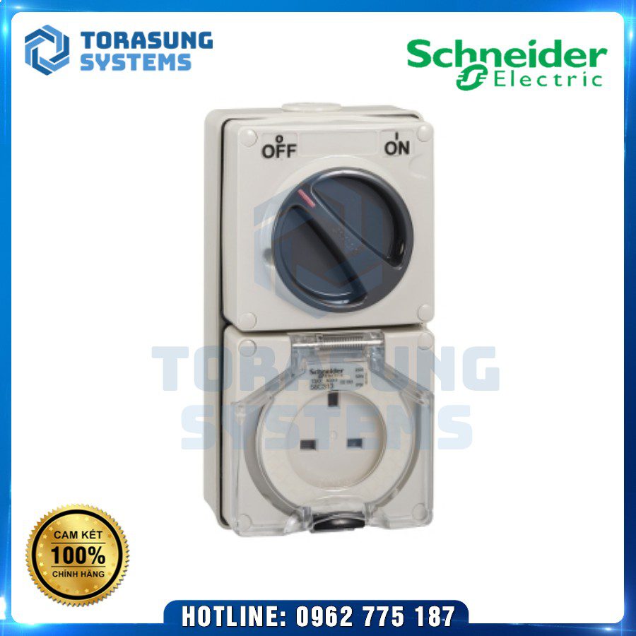 S56C313GY