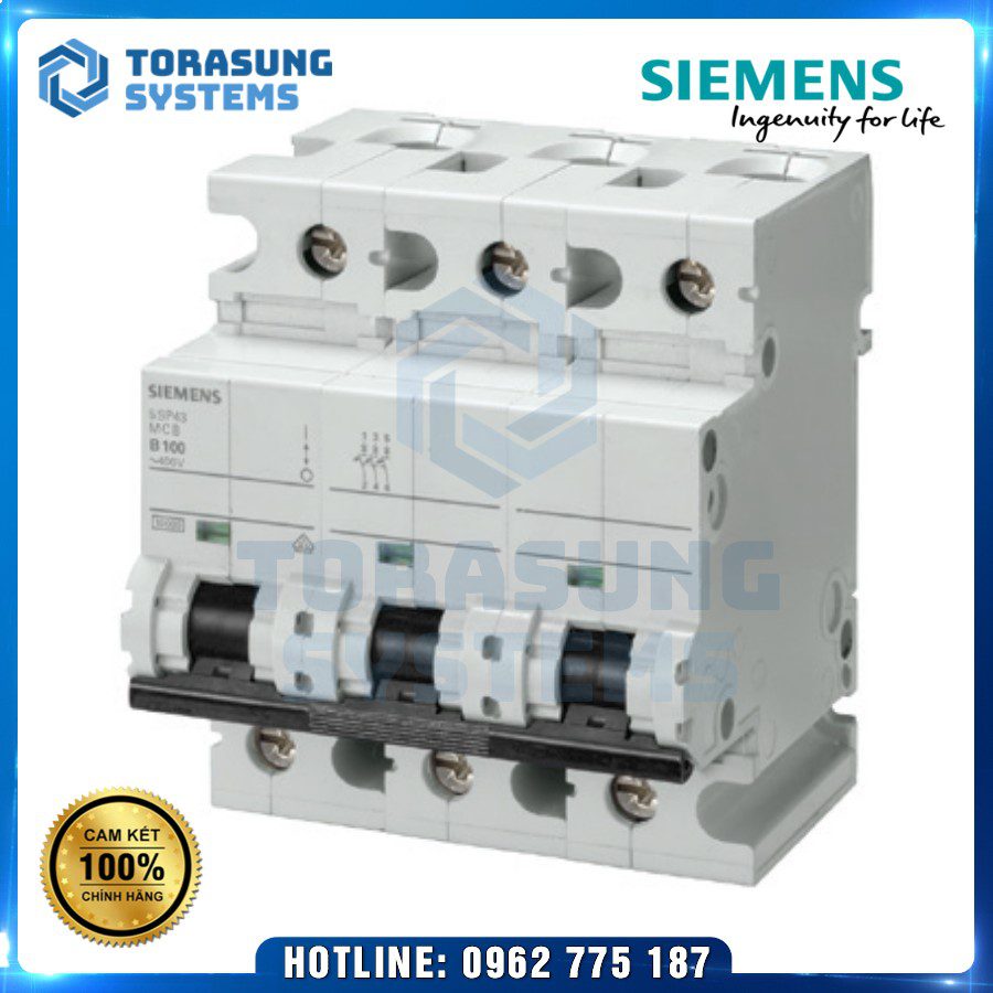 5SY7306-7CC