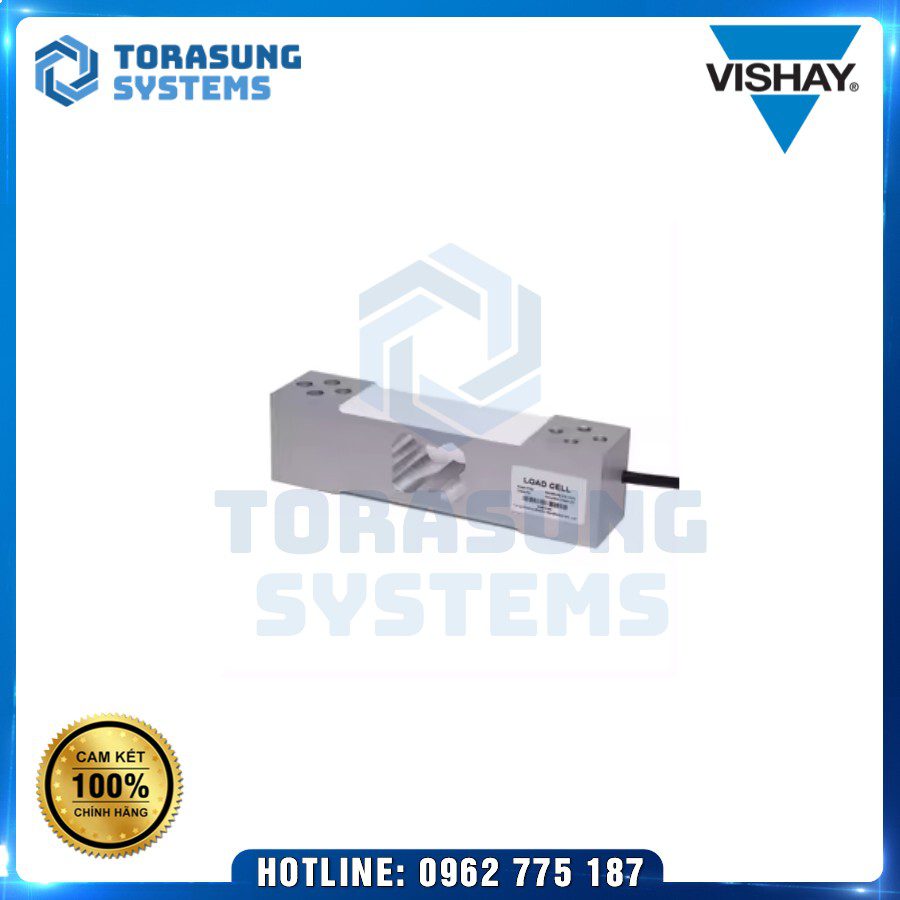 1040-I-100kg